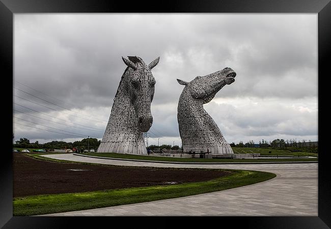  kelpies Framed Print by Northeast Images