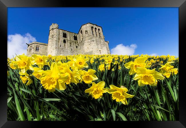  Warkworth Castle Framed Print by Northeast Images