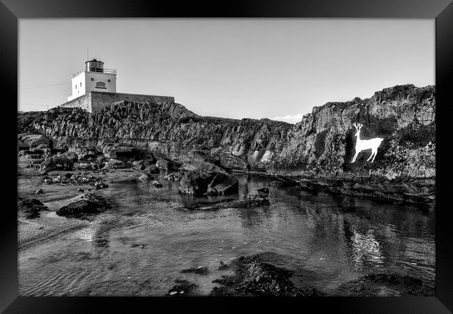 Stag rock Framed Print by Northeast Images