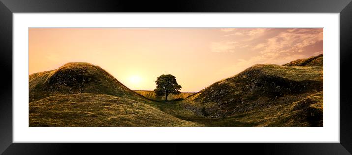 Sycamore Gap Framed Mounted Print by Northeast Images