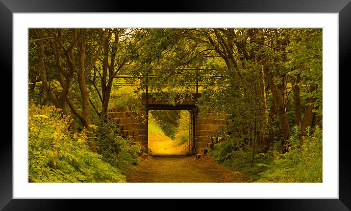 The little bridge Framed Mounted Print by Northeast Images