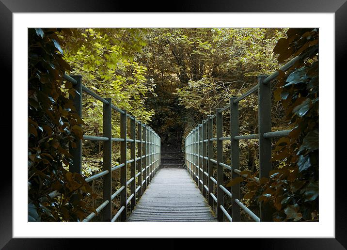 Ivy bridge 2 Framed Mounted Print by Northeast Images