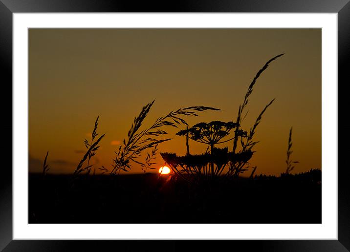 sunset silhouette Framed Mounted Print by Northeast Images