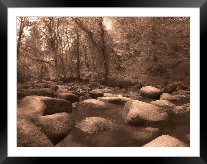 Dartmeet Brook Framed Mounted Print by Luke Woods