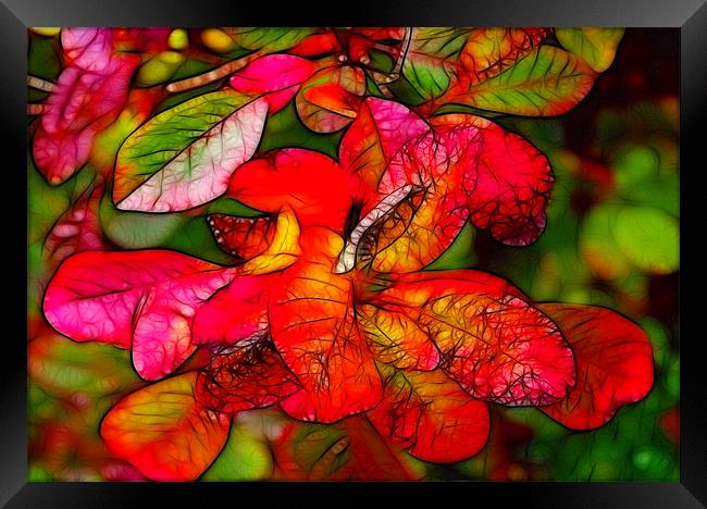 Autumn Colours Framed Print by Trevor Kersley RIP