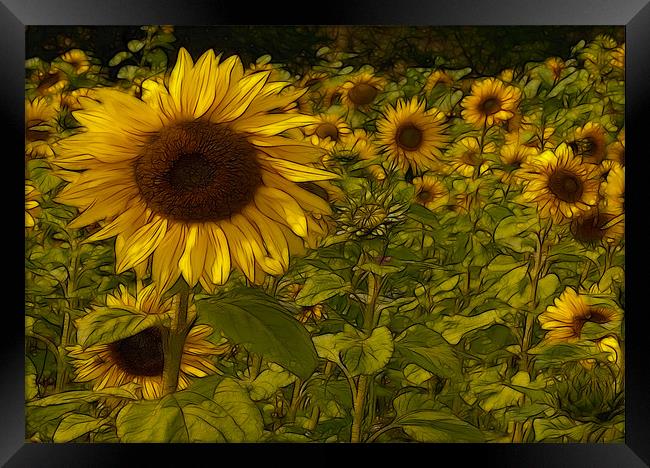 Fractal Sunflowers Framed Print by Trevor Kersley RIP