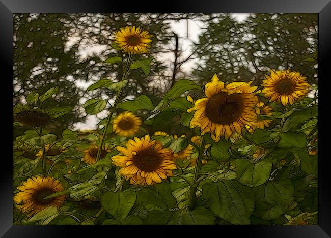 Fractal Sunflowers Framed Print by Trevor Kersley RIP