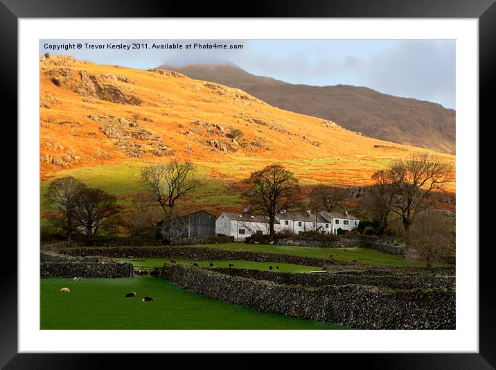 Autumn in the Fells Framed Mounted Print by Trevor Kersley RIP