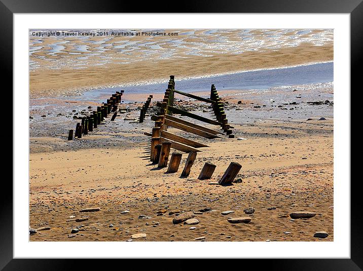 Old Groynes on the Beach Framed Mounted Print by Trevor Kersley RIP