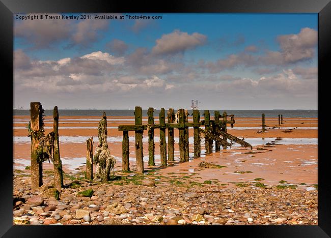 Sea Defence on the Humber Estuary Framed Print by Trevor Kersley RIP