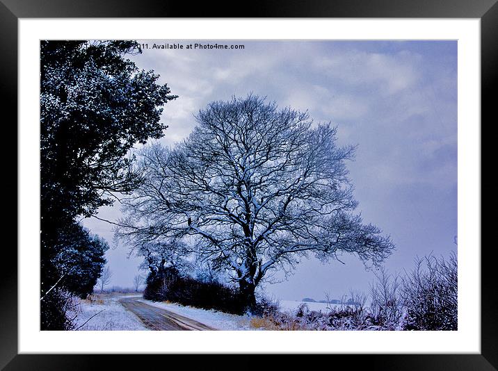 A Country Road in Winter Framed Mounted Print by Trevor Kersley RIP