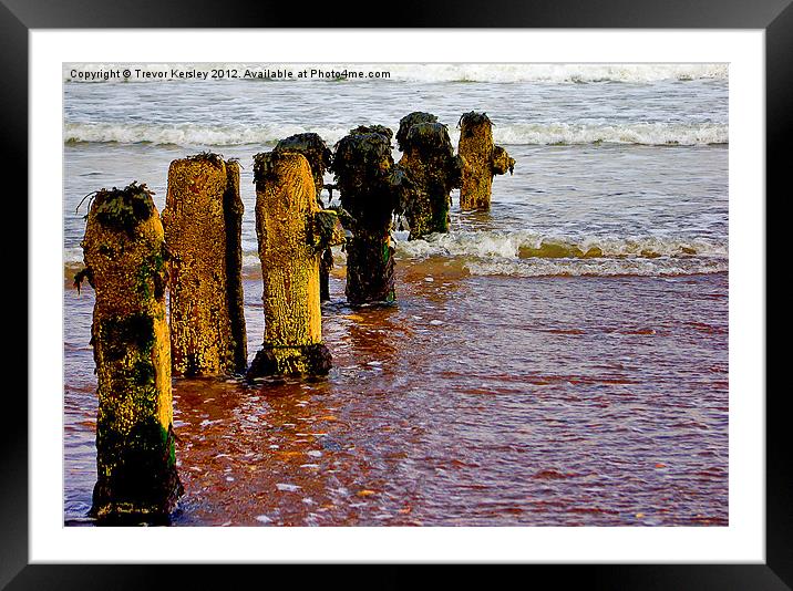 Worn and Weathered Framed Mounted Print by Trevor Kersley RIP
