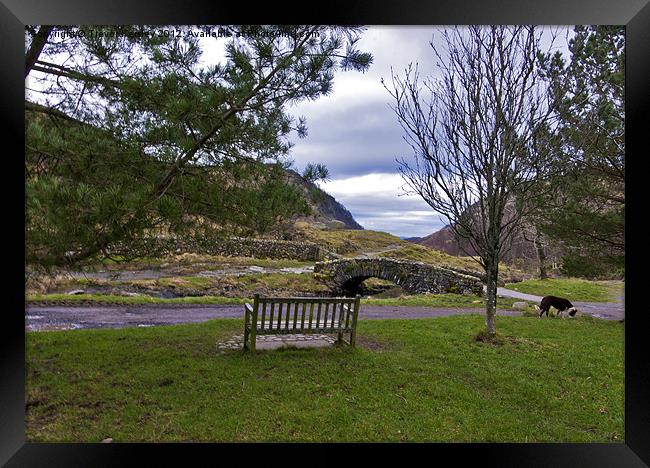 A Seat with a View Framed Print by Trevor Kersley RIP