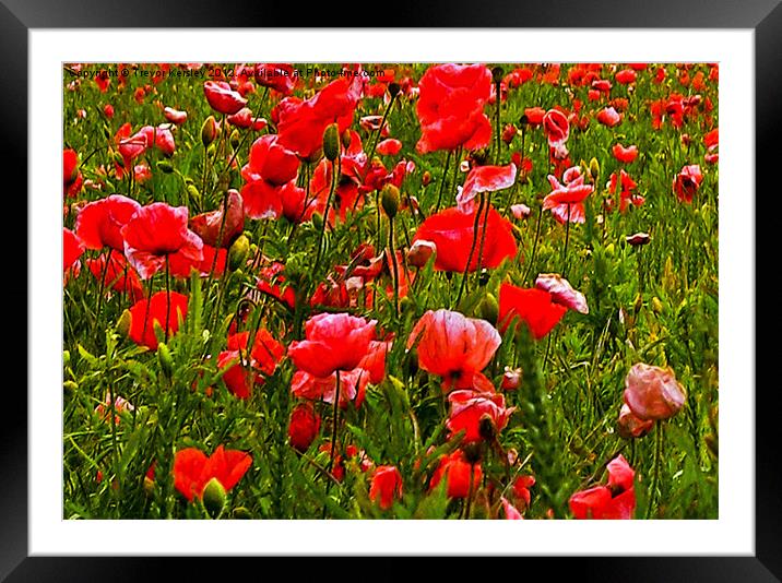 Meadow Flowers Framed Mounted Print by Trevor Kersley RIP