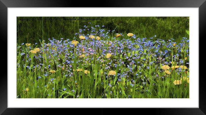 Spring Flowers Framed Mounted Print by Trevor Kersley RIP