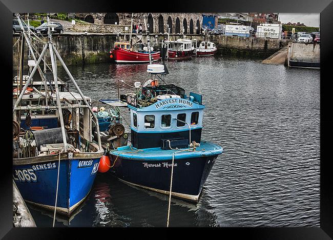 The Harbour Seahouses Framed Print by Trevor Kersley RIP