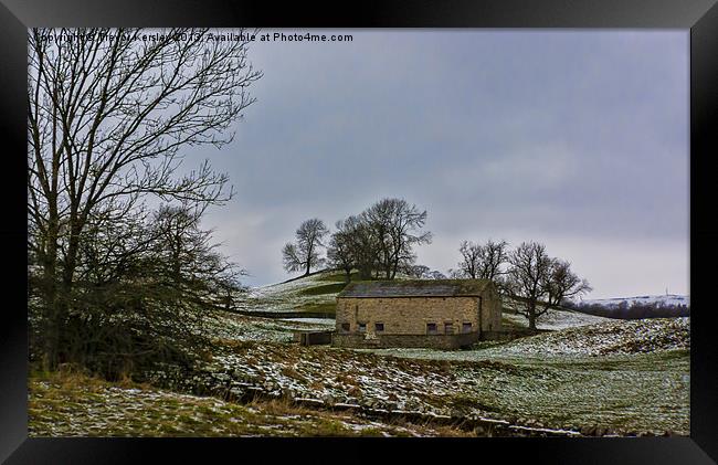 Wensleydale Winter Framed Print by Trevor Kersley RIP