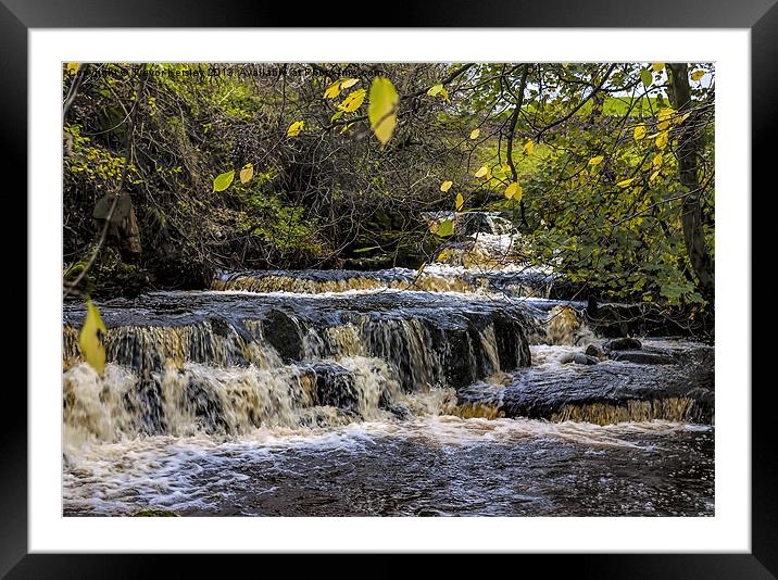 Dales Waterfalls Framed Mounted Print by Trevor Kersley RIP