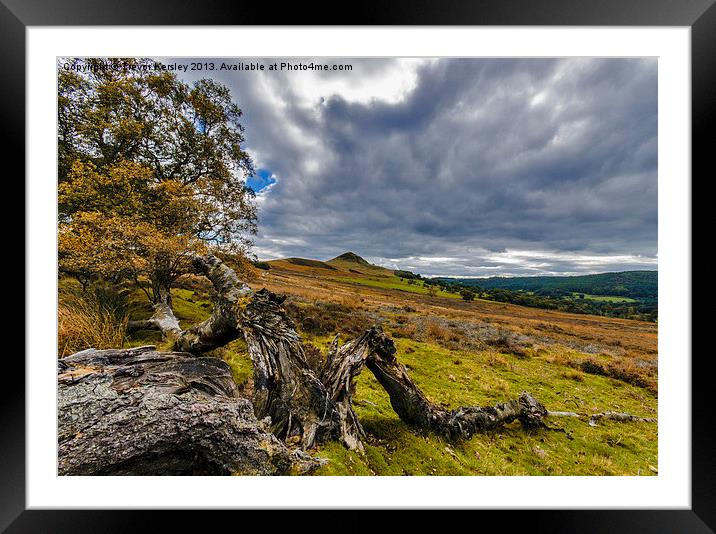 North Yorks Moors Framed Mounted Print by Trevor Kersley RIP