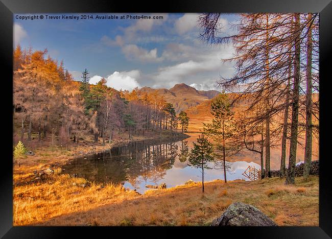 Autumn at Blea Tarn Framed Print by Trevor Kersley RIP