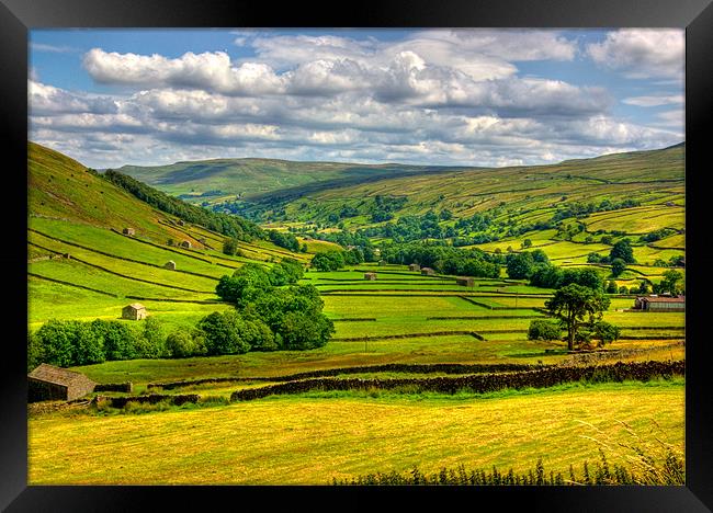 Looking Down the Dale Framed Print by Trevor Kersley RIP