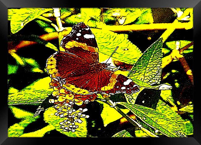 Fractal Butterfly Framed Print by Trevor Kersley RIP