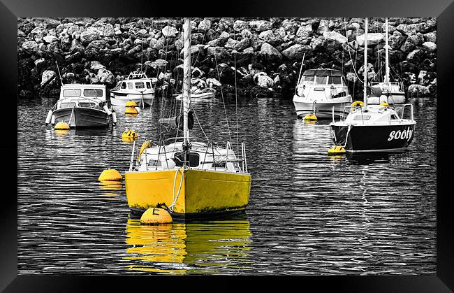 Yellow Boat At Brixham Framed Print by Jason Connolly