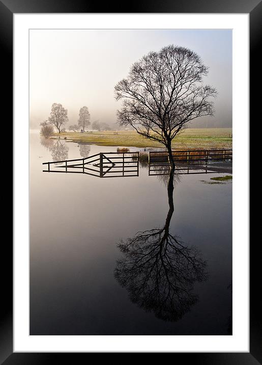 The Reflections, Ullswater Framed Mounted Print by Jason Connolly
