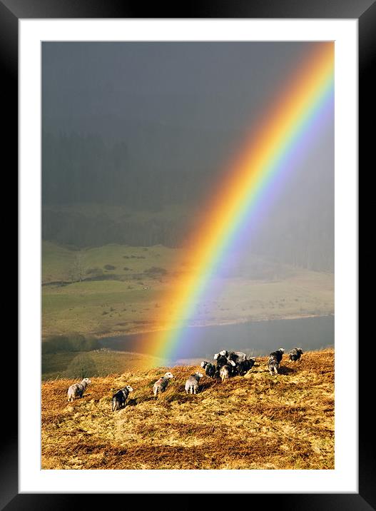 Rainbow Framed Mounted Print by Jason Connolly