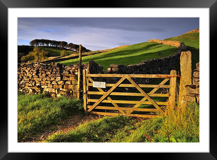 Golden Gate, Yorkshire Framed Mounted Print by Jason Connolly