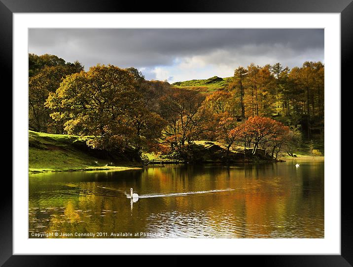 Loughrigg Tarn Reflections Framed Mounted Print by Jason Connolly