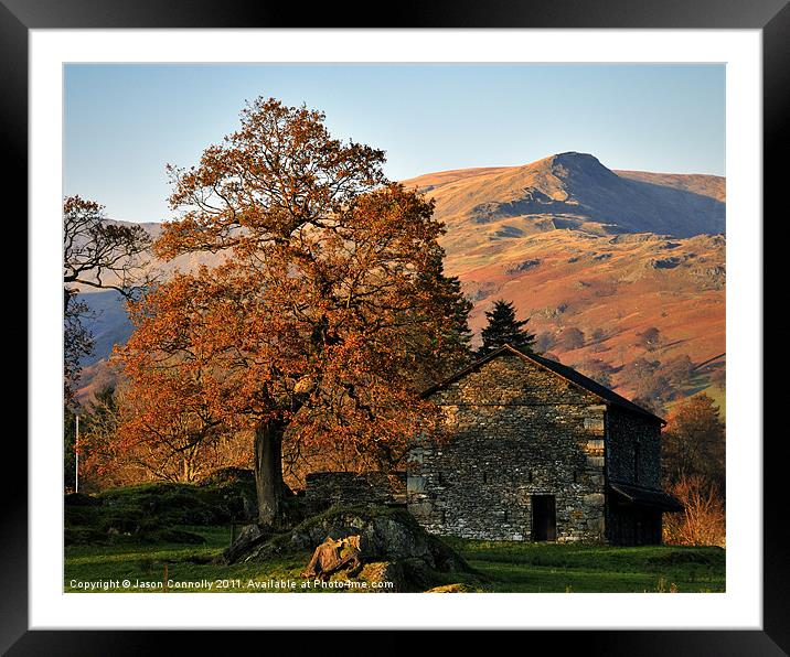 The Tree And Barn, Ambleside Framed Mounted Print by Jason Connolly
