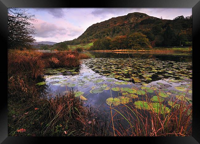 Rydal Water Framed Print by Jason Connolly