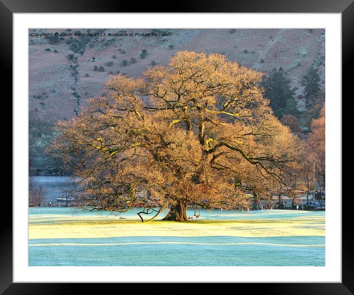 Tree Of Light Framed Mounted Print by Jason Connolly