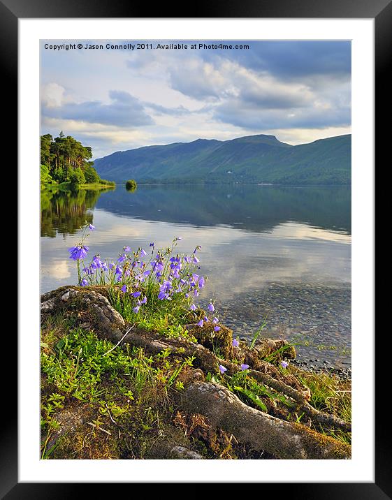 Derwentwater Flowers Framed Mounted Print by Jason Connolly