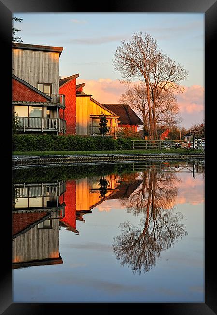 Golden Hour Reflections Framed Print by Jason Connolly