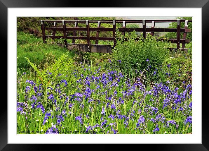 Bluebell Bridge. Framed Mounted Print by Jason Connolly