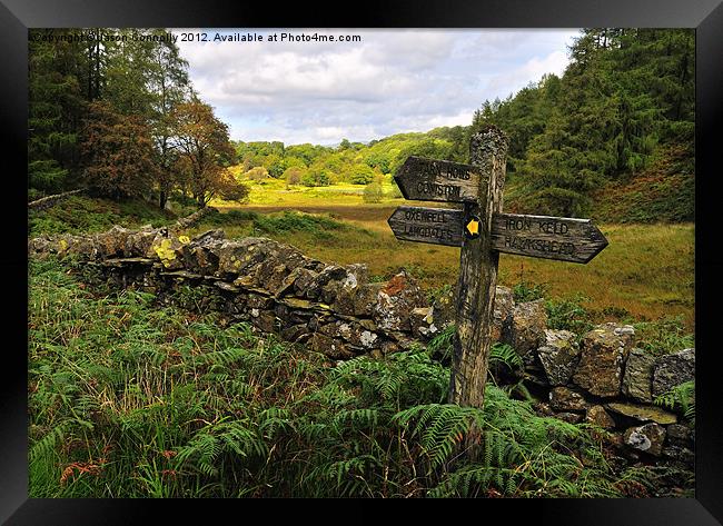 This Way To Tarn Hows Framed Print by Jason Connolly