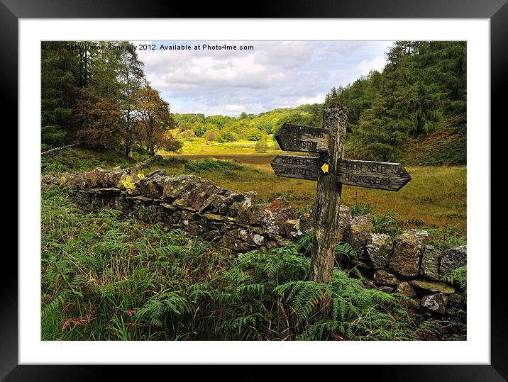 This Way To Tarn Hows Framed Mounted Print by Jason Connolly