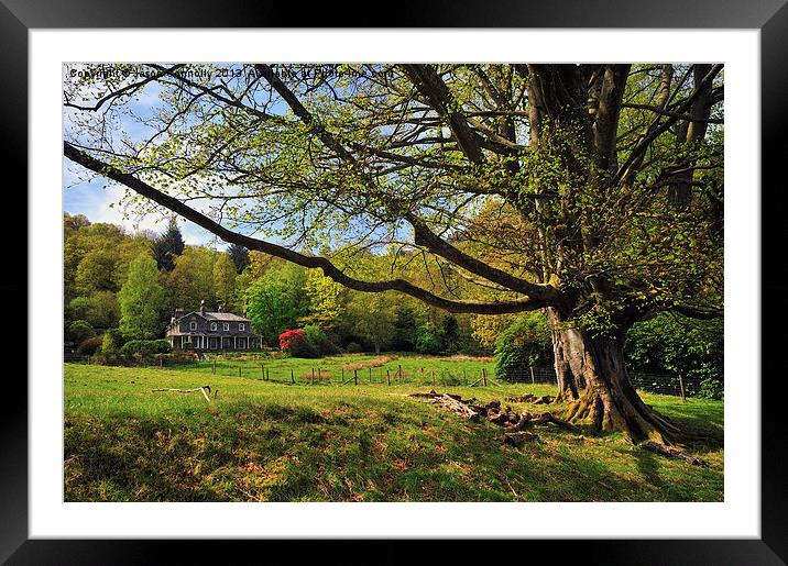 Grasmere Scenery Framed Mounted Print by Jason Connolly