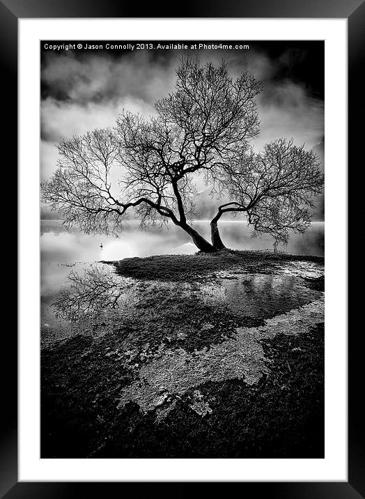 The Old Tree Ullswater Framed Mounted Print by Jason Connolly