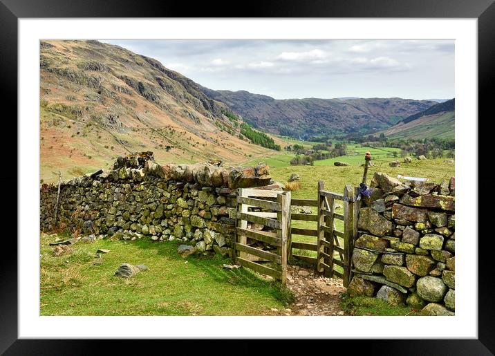 Great Langdale valley Framed Mounted Print by Jason Connolly