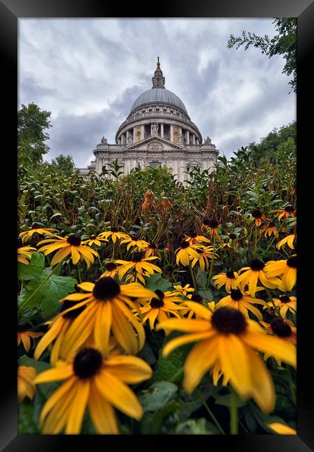 St Paul's Cathedral Framed Print by Jason Connolly