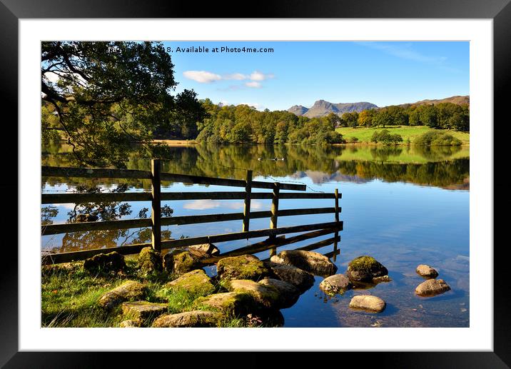 Loughrigg tarn Reflections Framed Mounted Print by Jason Connolly