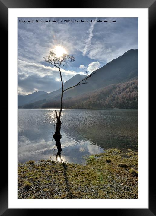 The Buttermere tree Framed Mounted Print by Jason Connolly
