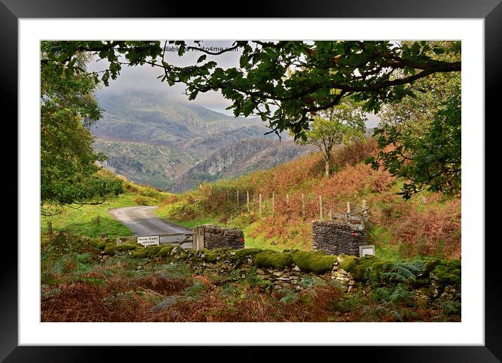 Cumbrian Views. Framed Mounted Print by Jason Connolly