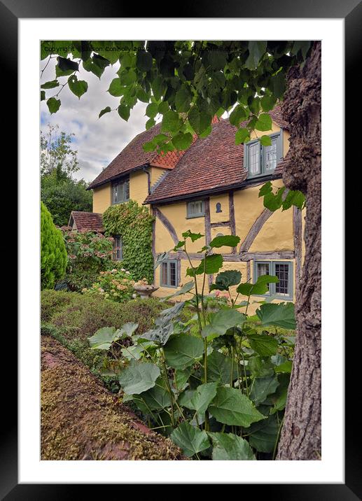 Lime Cottage, Shere Village. Framed Mounted Print by Jason Connolly