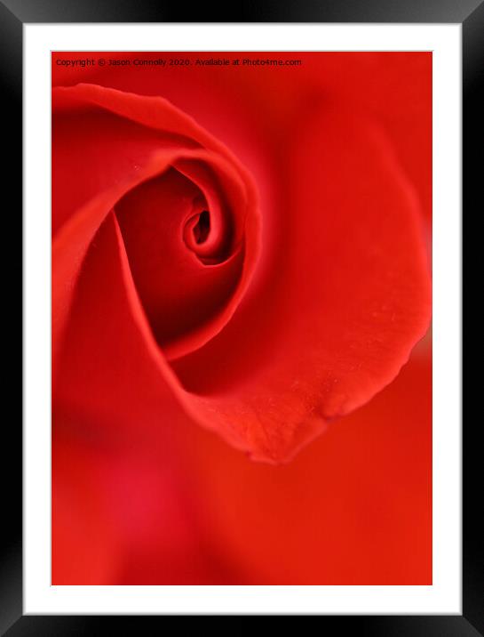Roses Are Red. Framed Mounted Print by Jason Connolly