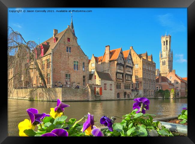 Pansies In Bruges. Framed Print by Jason Connolly