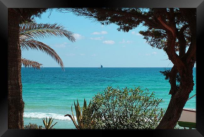 Cala Nova, Ibiza Framed Print by Tom Gomez